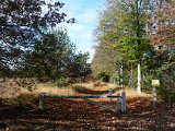 121028 Wandeling Ede Wageningen (03)